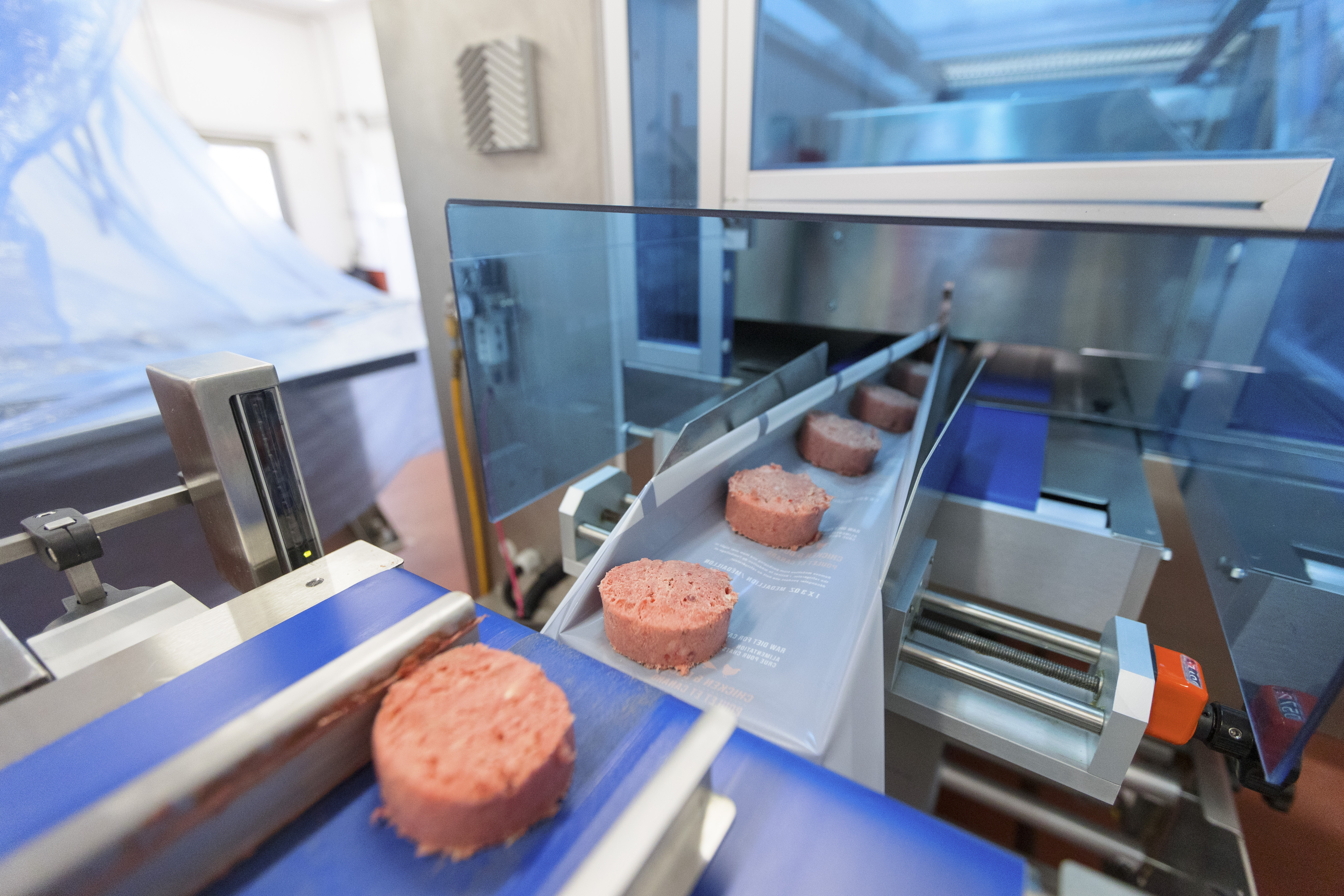 David Stobbe / Stobbe Photo