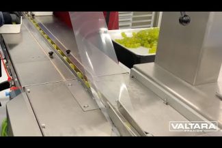 Sleek 45 Hard Candy High Speed Flow Wrapper - 80 cycles per minute